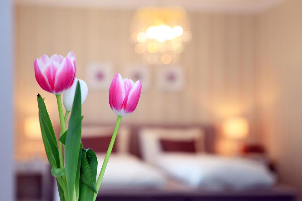 Hotel Krone Bad Ragaz Rum bild